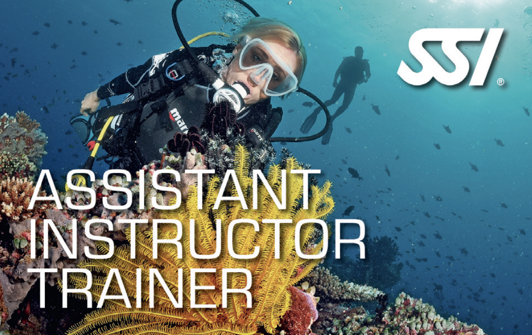 Become an Assistant Instructor Trainer and help teach future dive instructors