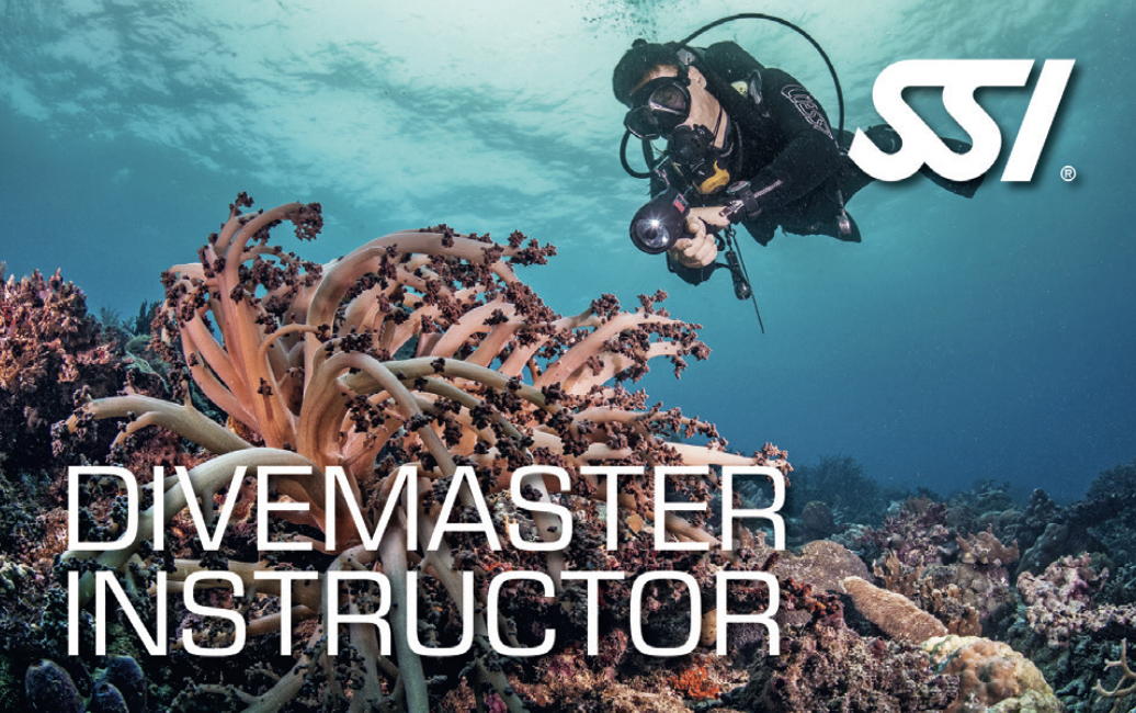 SSI Divemaster Instructors are scuba instructors who are authorized to conduct Divemaster crossovers from other agencies like PADI and NAUI to SSI.