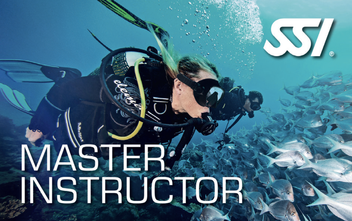 Master Instructor's are some of the most experienced, well trained, and capable instructors in the scuba diving industry. It's the highest honor, just under instructor trainers and course directors. You can earn yours too. Contact divementor.org.