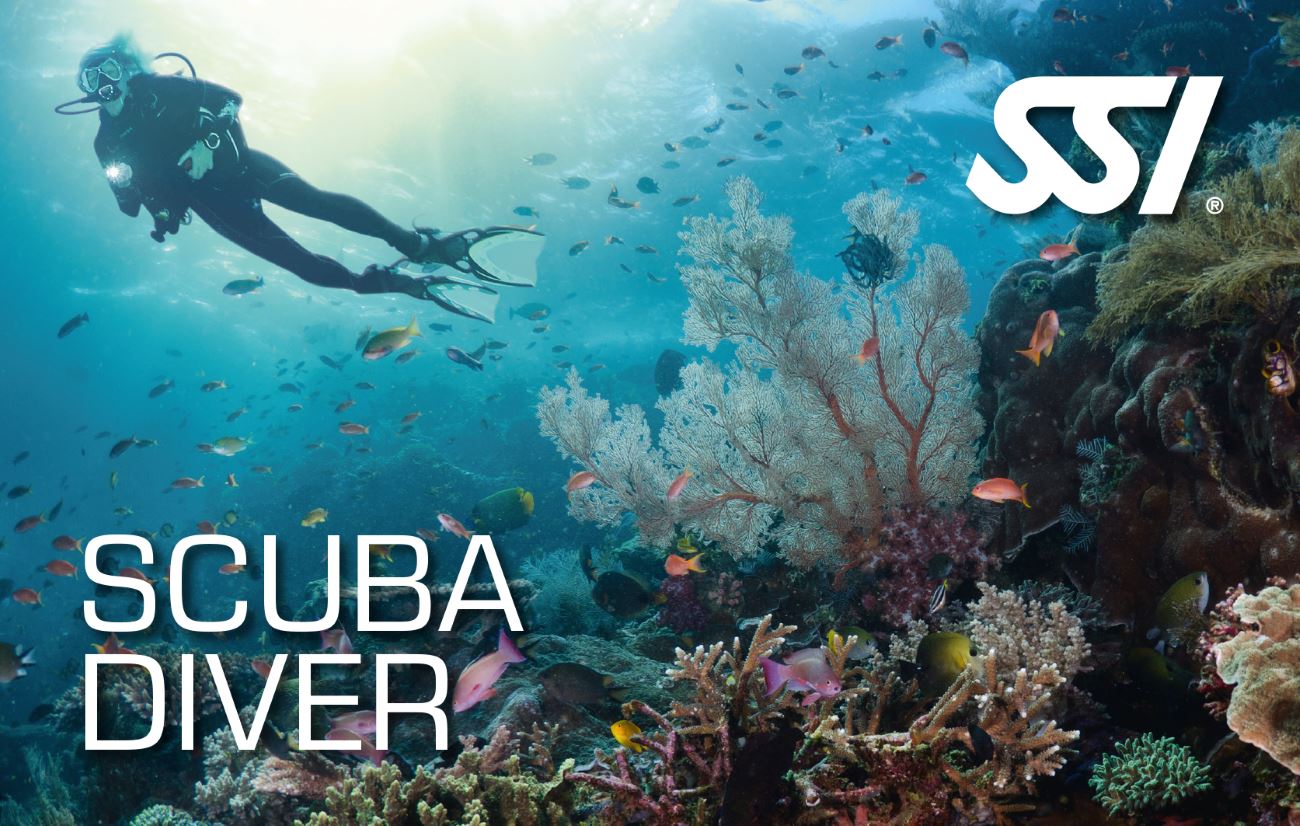 Don't have time for a full Open Water Course? This is the perfect way for you to still become a scuba diver, without having to invest the time, money, and effort required for a full program.