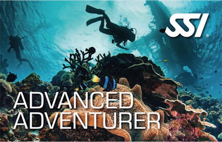 The advanced adventurer certification is the next step in progression for your scuba diver training.