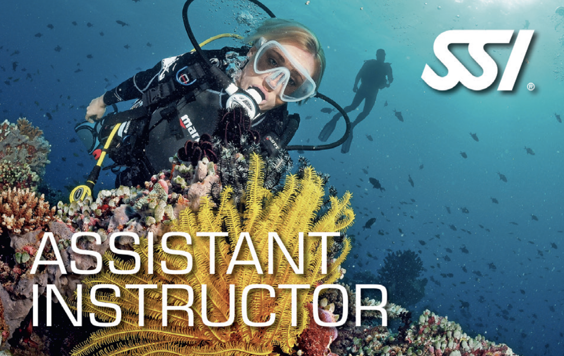 become an assistant scuba instructor