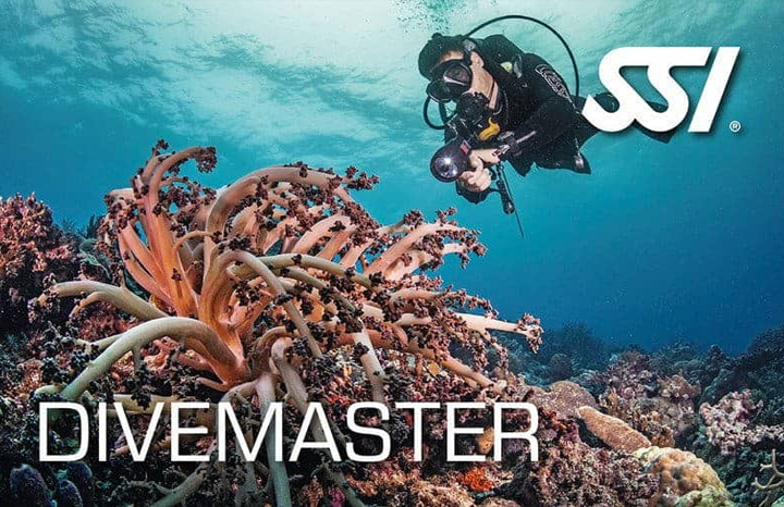 Earn your divemaster credential with SSI and Divementor in Cozumel, Mexico through our internship program