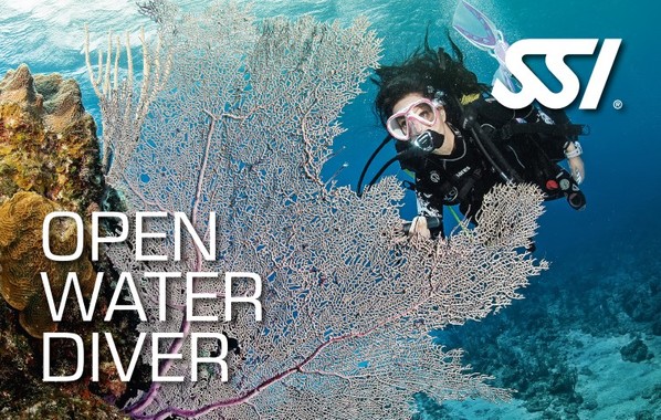This is THE program for becoming a fully certified scuba diver