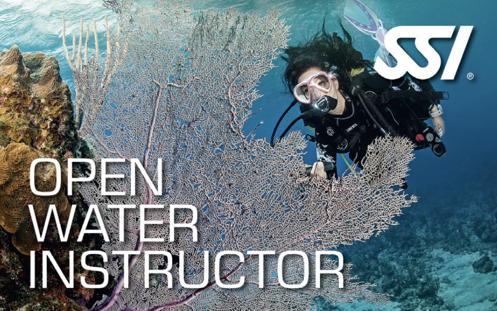 become an open water scuba instructor today