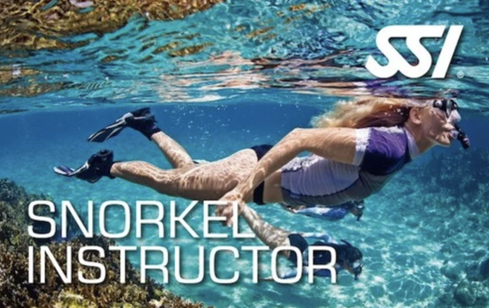 become a snorkel instructor