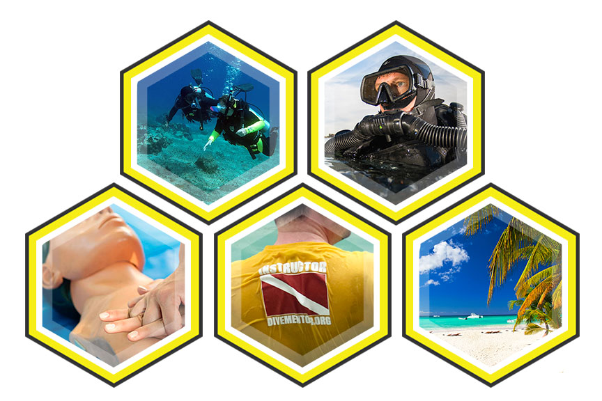 Divemaster Internships and Scuba Instructor Development Courses