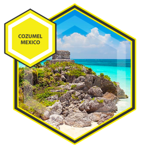 Cozumel Mexico Dive Mentor Coral Conservation projects in the Caribbean with Dive Mentor for college students teens and adults