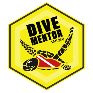 Coral Conservation projects in the Caribbean with Dive Mentor for college students teens and adults