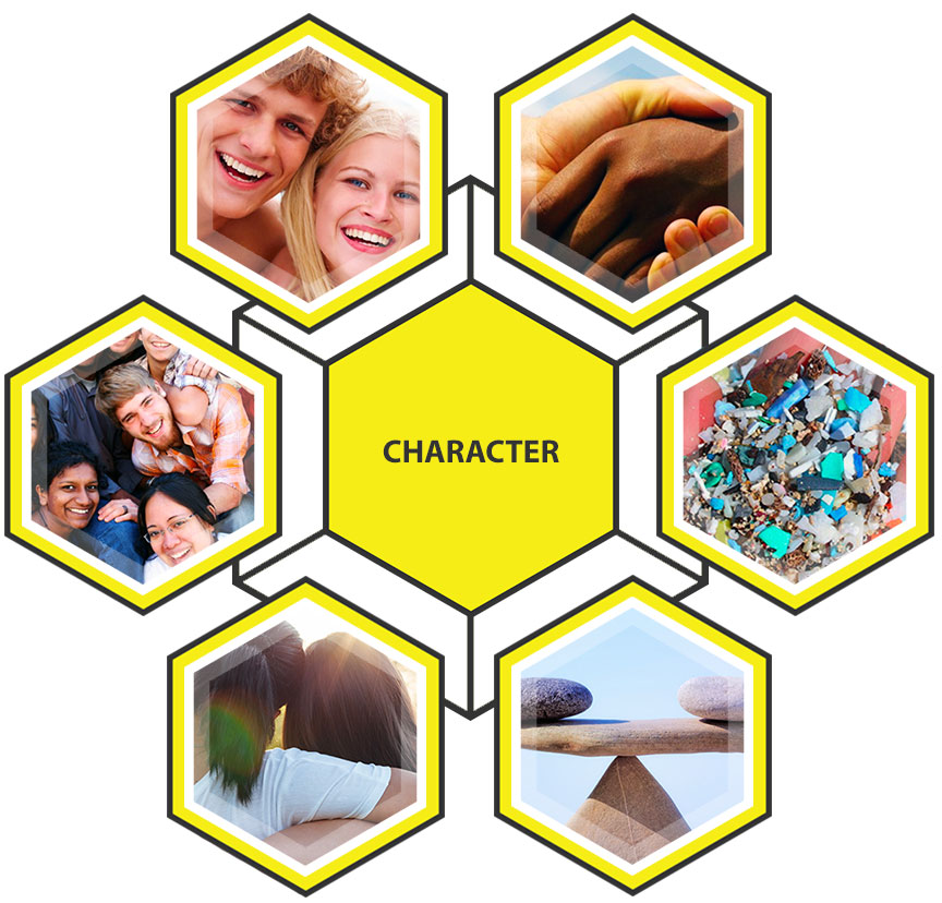 6 Pillars of Character