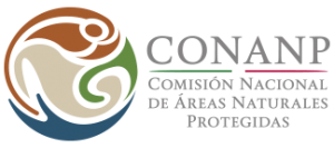 conanplogo Dive Mentor Arrecifes de Cozumel National Park and National Commission of Natural Protected Areas