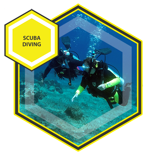 Scuba Diving Courses & Programs at Dive Mentor in the Caribbean